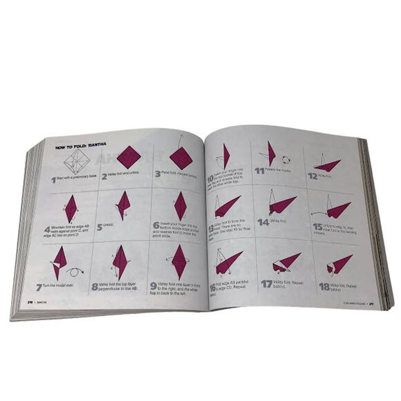 STAR WARS ORIGAMI 36 Amazing Paper-folding Projects from a Galaxy Far Far Away - Picture 3 of 4